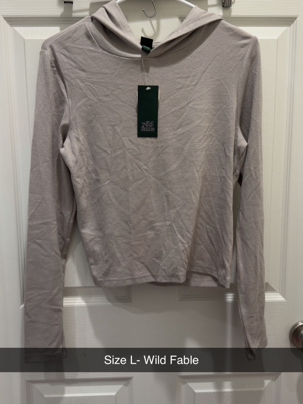 wild fable Light Taupe Hooded Long Sleeve Top